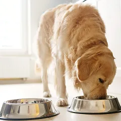 ペット用食器