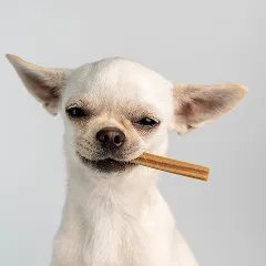 ペットおやつ
